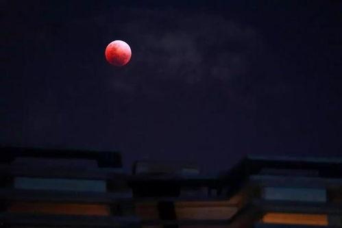 血色月亮在线观看56,惊悚悬疑，在线观看56集的惊心动魄之旅  第2张