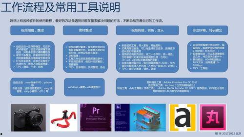 食品材料爆料流程视频,视频解析背后的真相